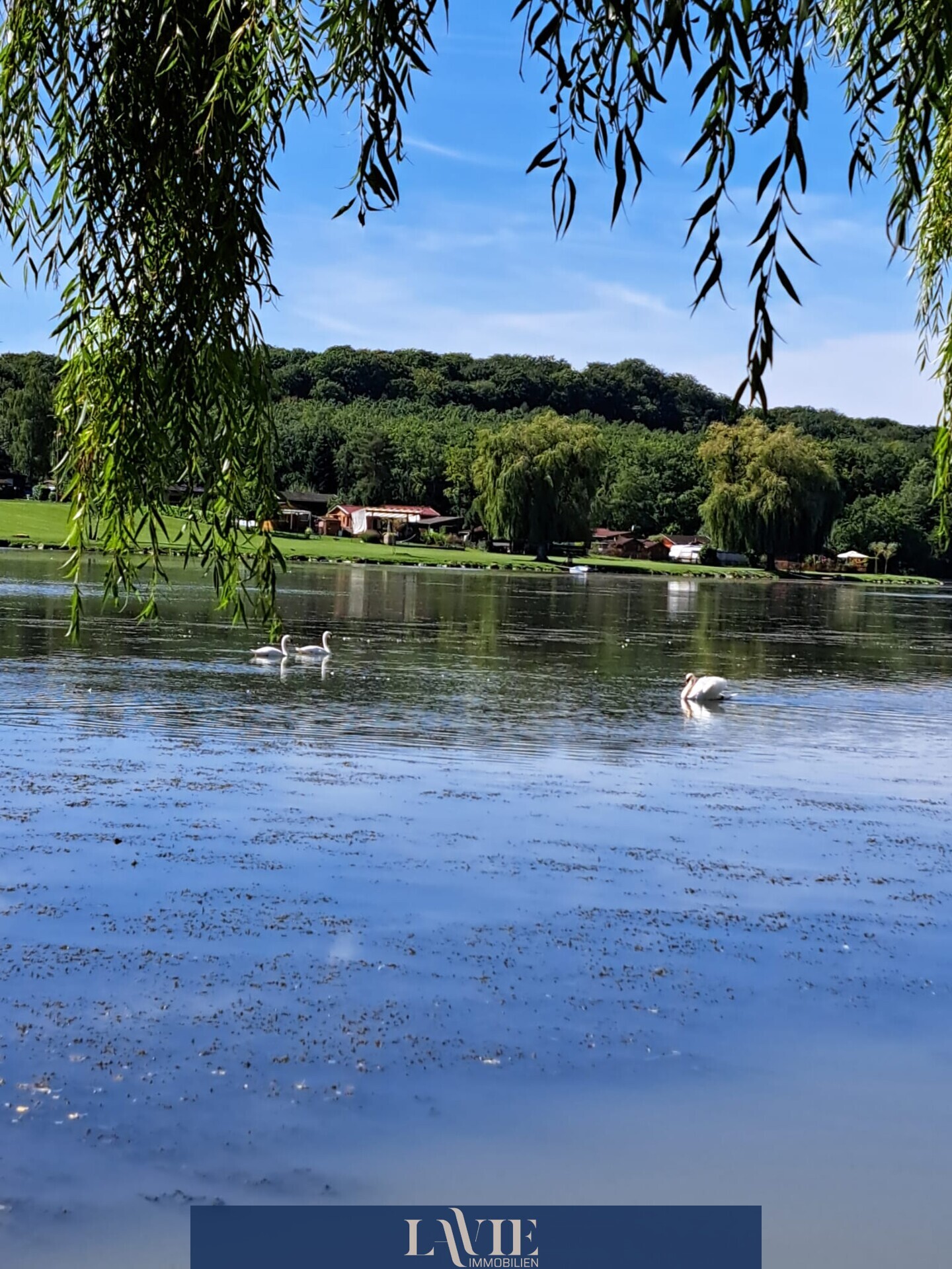 Weiher