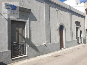 WhatsApp Image 2024-03-14 at 12.45.16