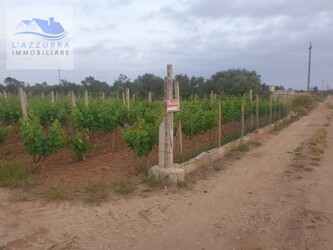 WhatsApp Image 2024-05-15 at 19.31.00 (2)