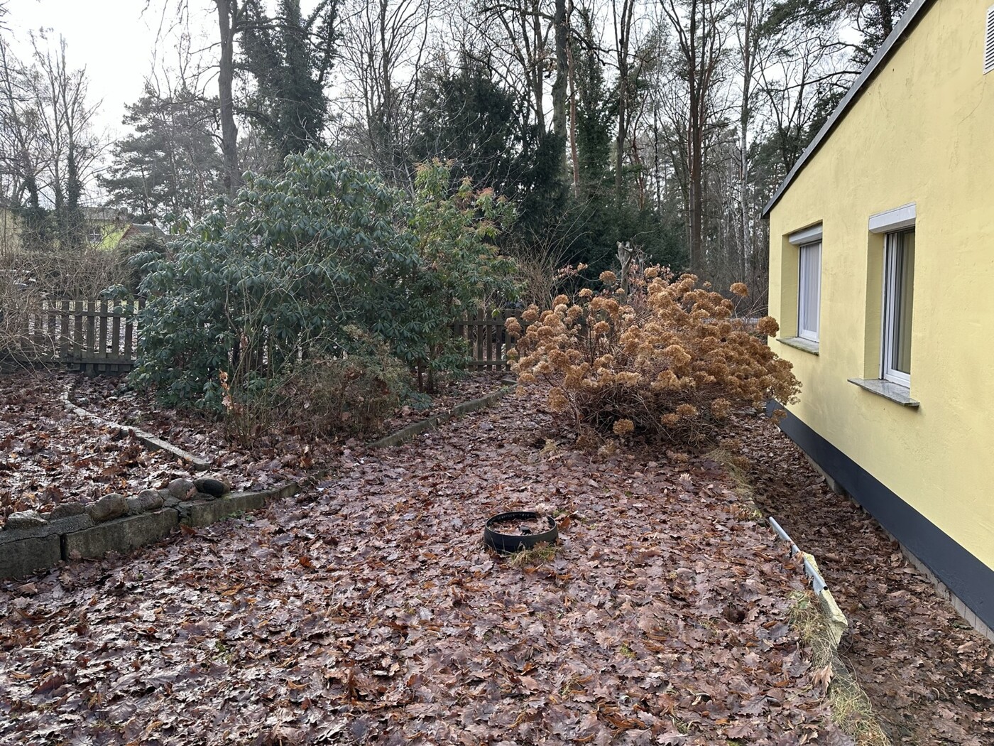 hinterer Garten
