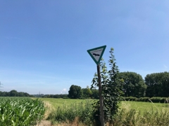 Umgebung Landschaftschutzgebiet