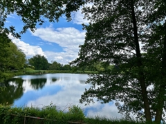 in direkter Nachbarschaft zum Stausee 