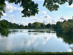 Umgebung