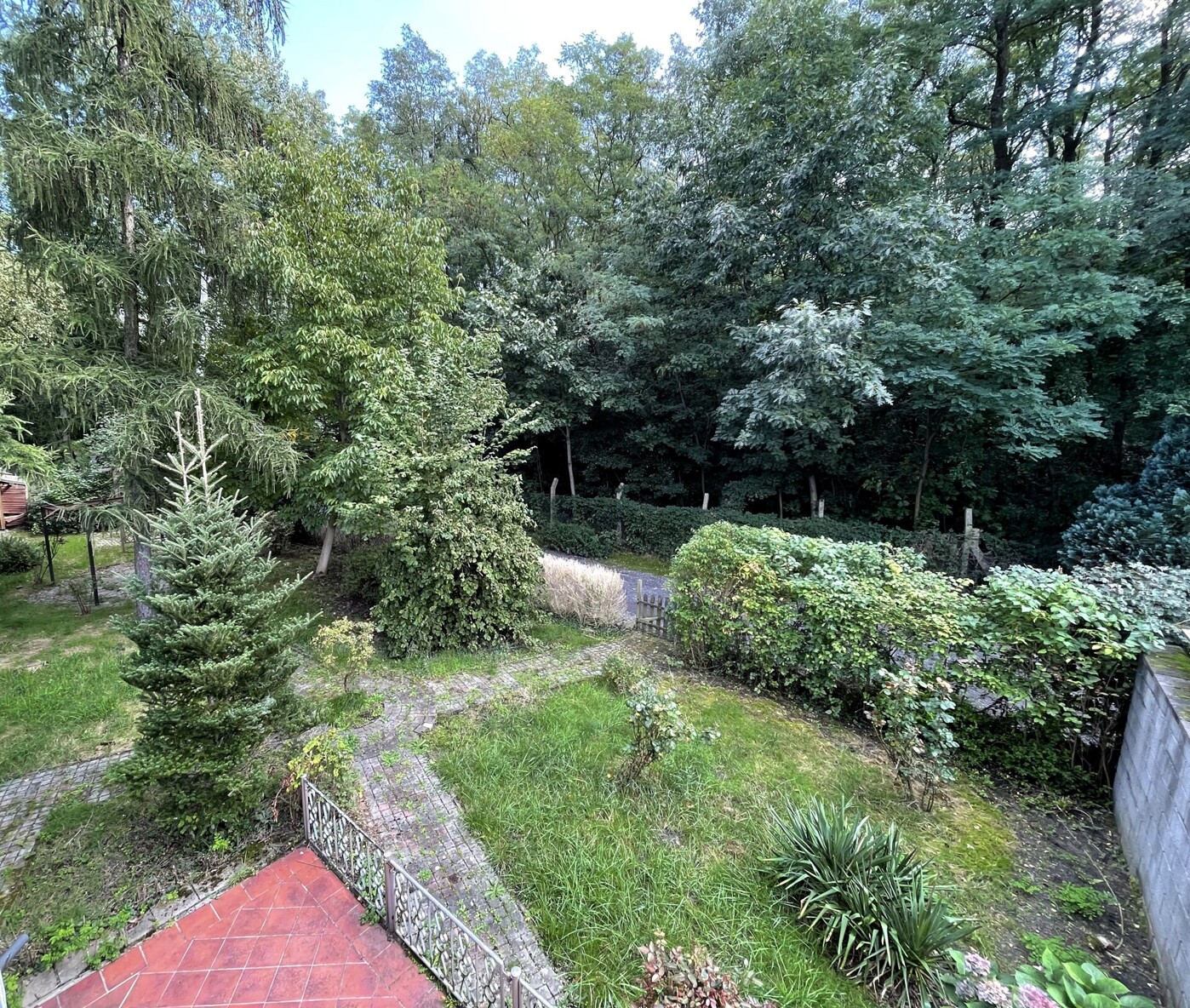 Blick in den Garten