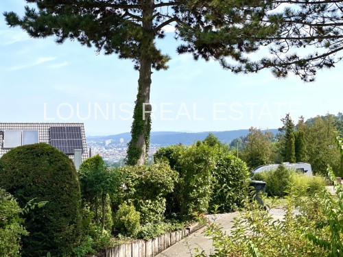 Aussicht/ Außenansicht Garten