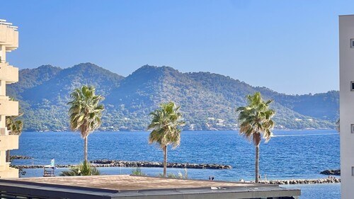 IMG_6618