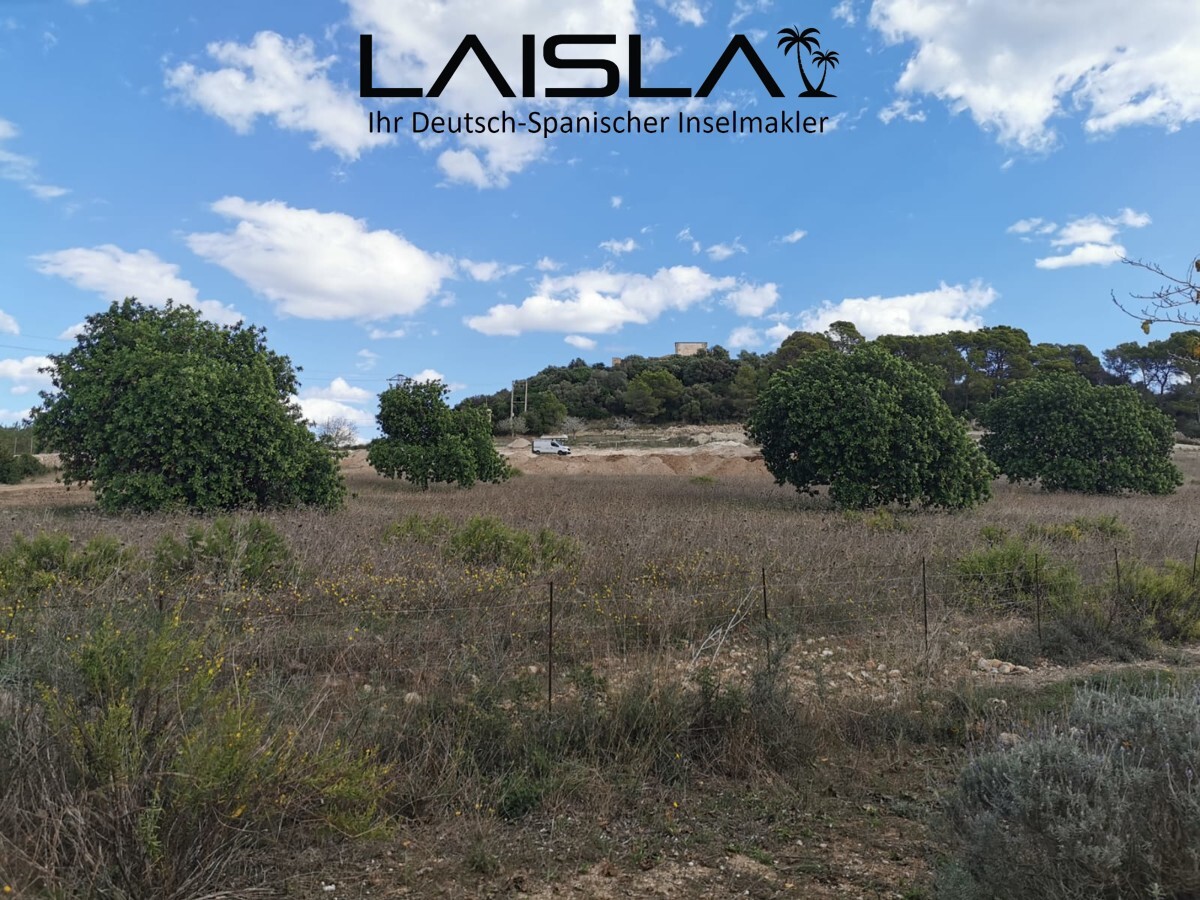 Neubau Meerblick-Finca in Son Carrió — Foto 9