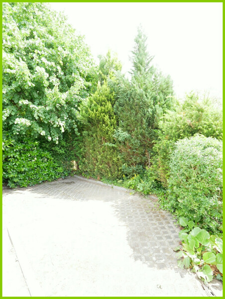 Stellplatz