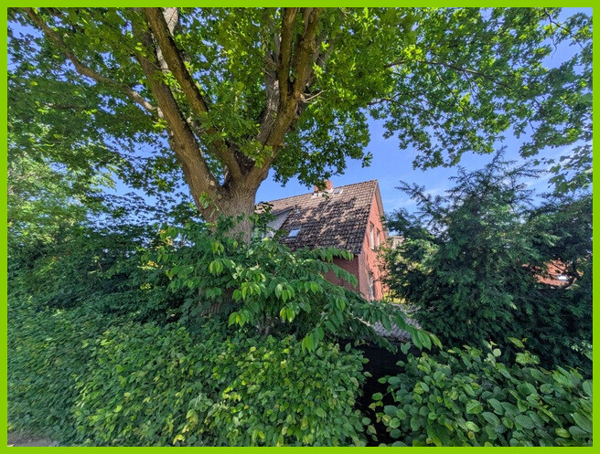 Blick vom Weg