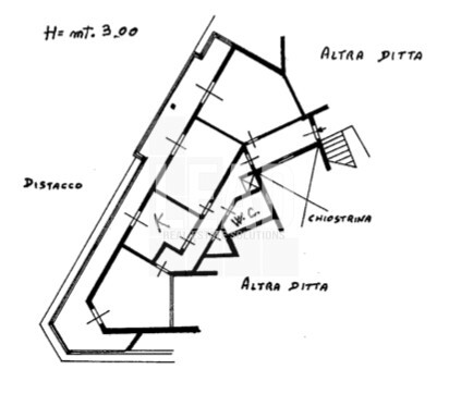 33-planimetria