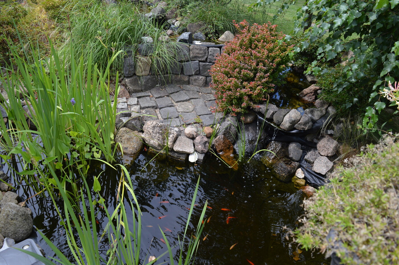 kleiner Teich