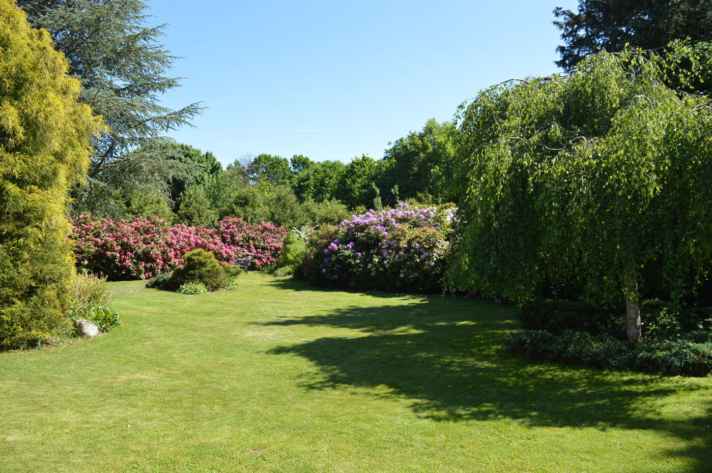 schön angelegter Garten