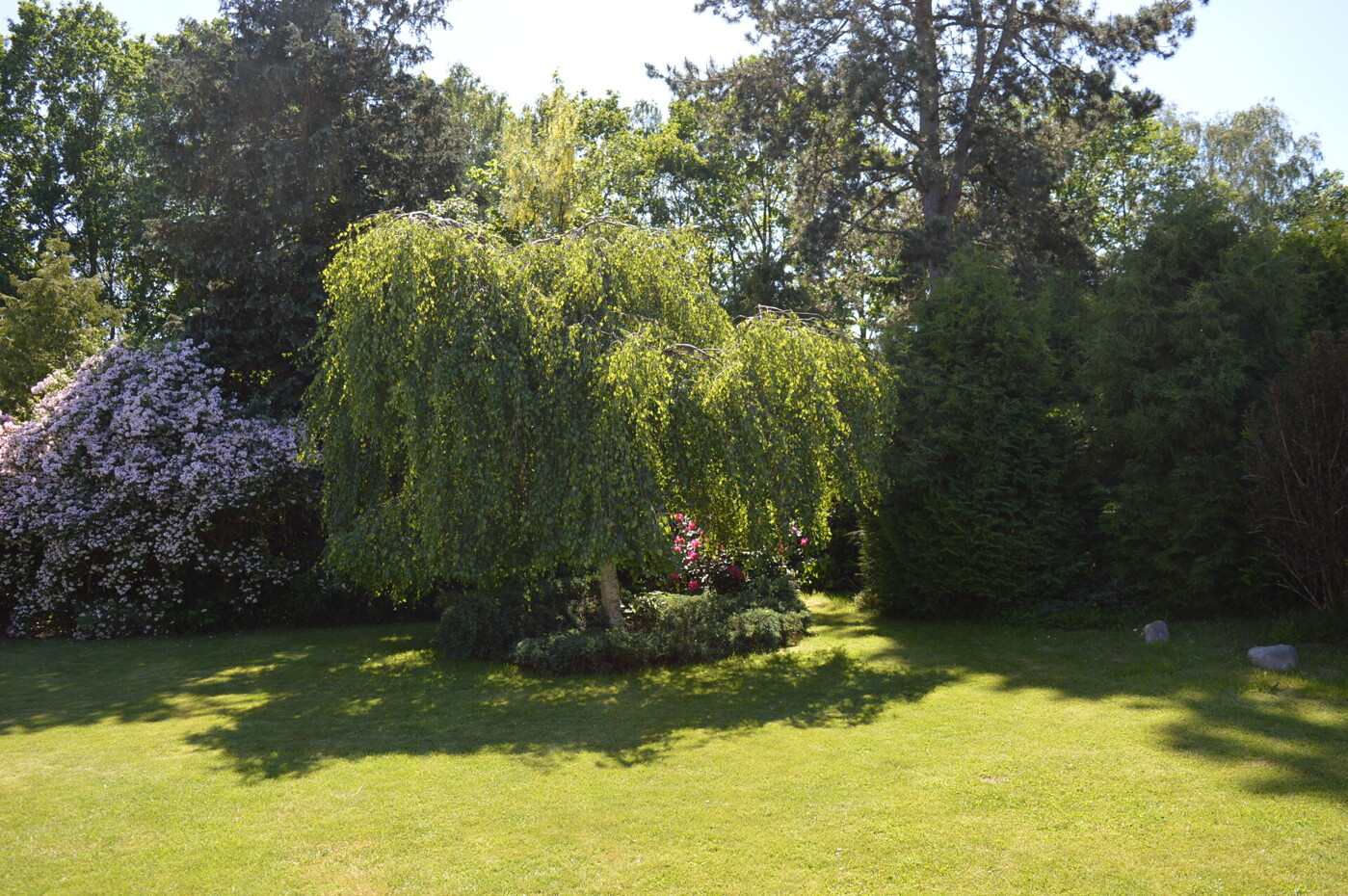 romantischer Garten