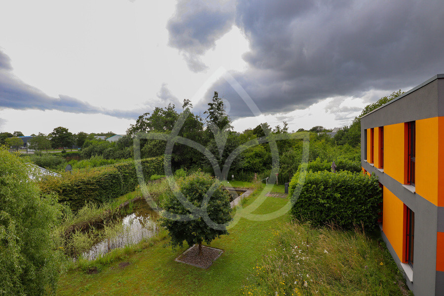 Garten mit Naturpool