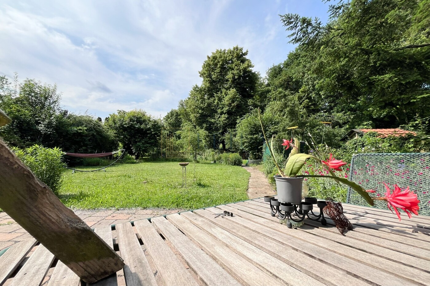 LEILA Immobilien - 28f6b409 5048 40f4 b20b 5648326b391e Blick von der Terrasse