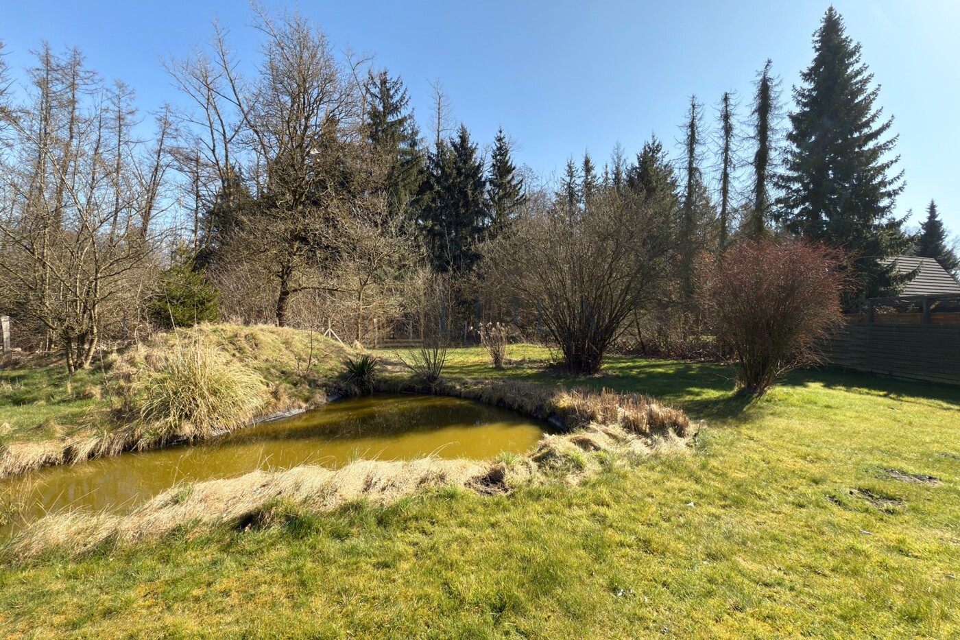 LEILA Immobilien - 390e6f24 87a5 4c44 9c56 7baf2b298896 Außenansicht mit Blick auf den Teich