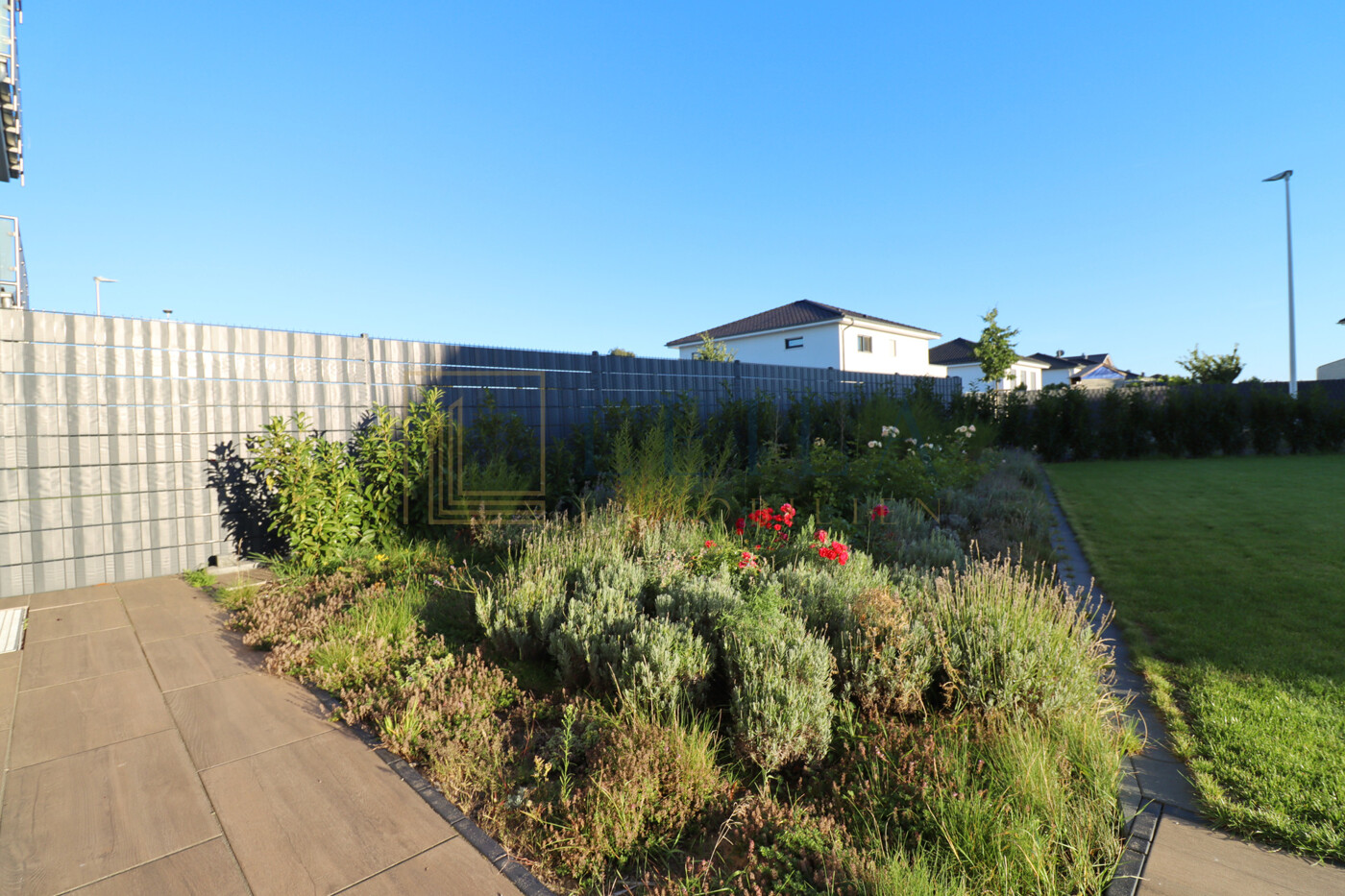 LEILA Immobilien - e9568ecc 420f 48b6 8056 514227b34987 Außenansicht