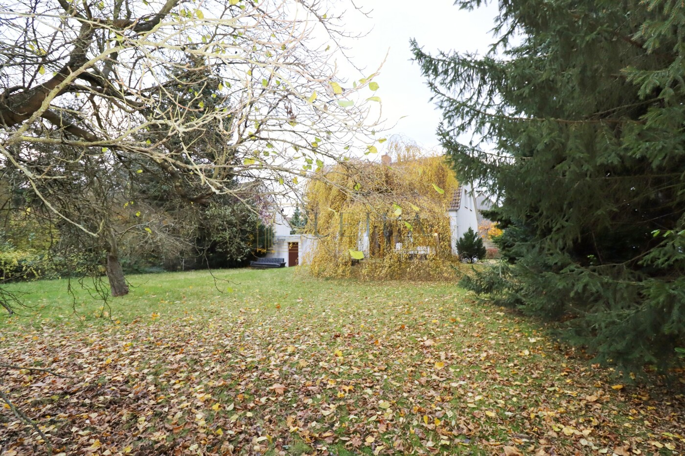 LEILA Immobilien - 82324f84 5355 48c7 9861 b35941058e78 Gartenansicht