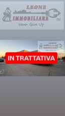 WhatsApp Image 2026-03-17 at 18.42.03