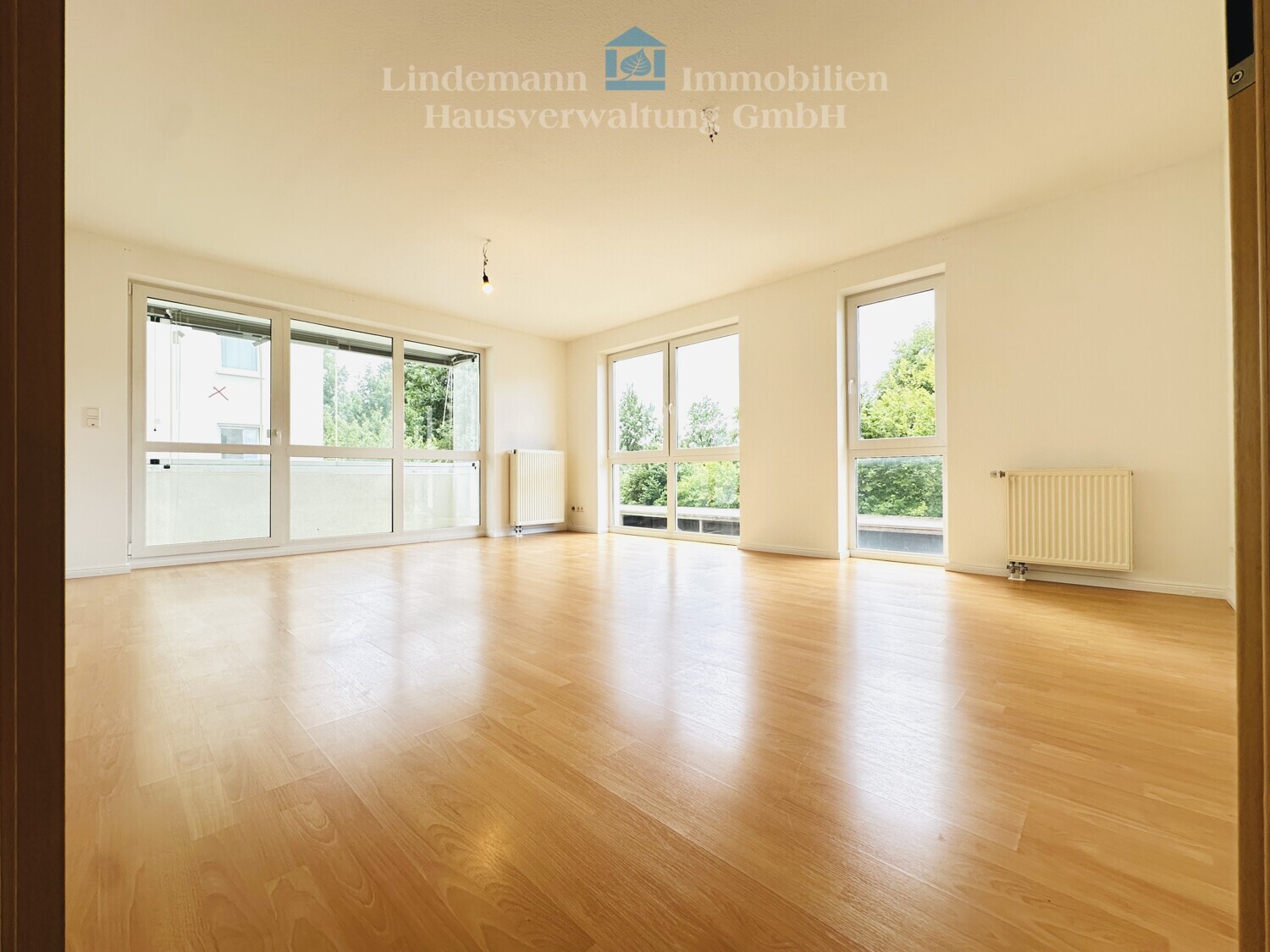 Real Estate Title Image Background