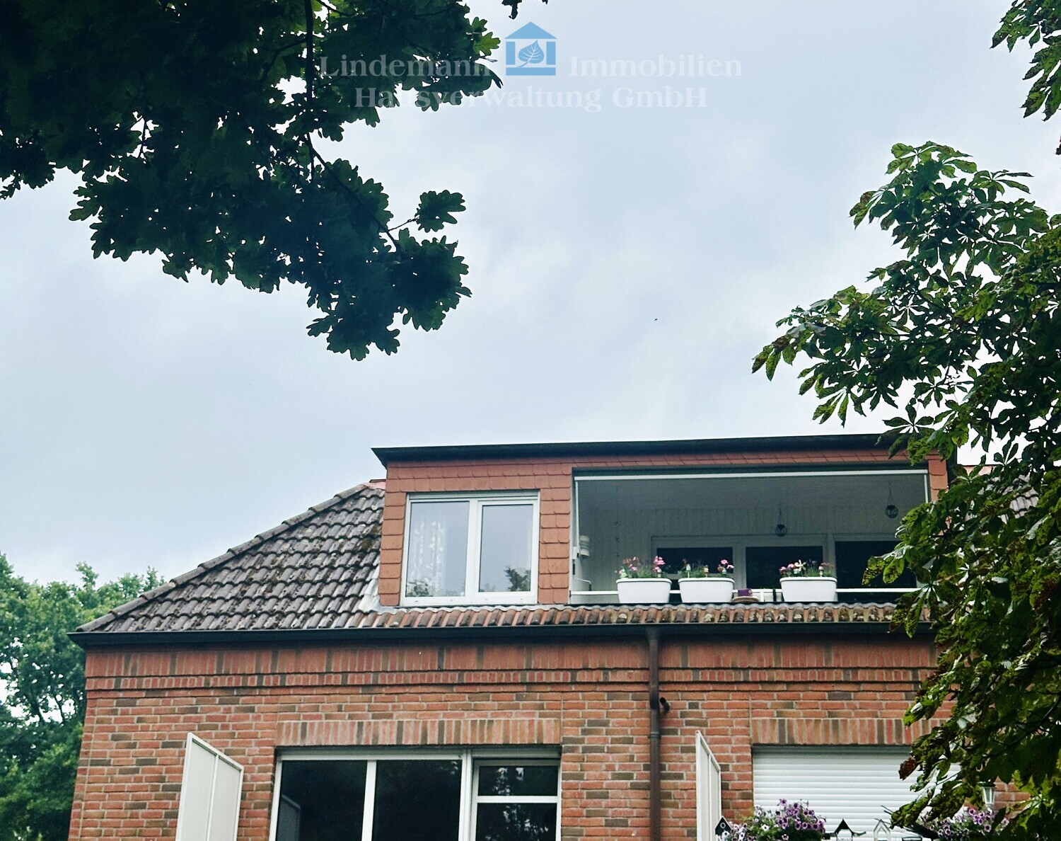 Real Estate Title Image Background