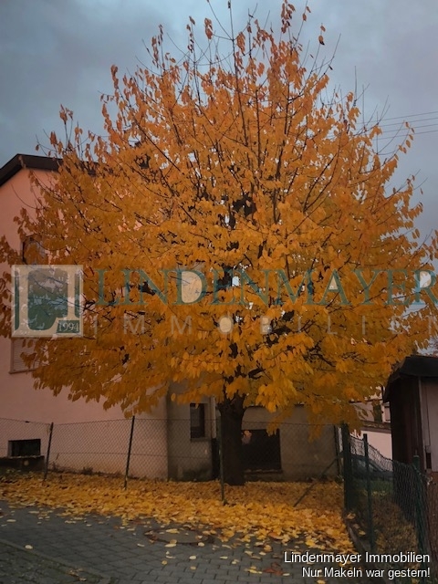 Herbst