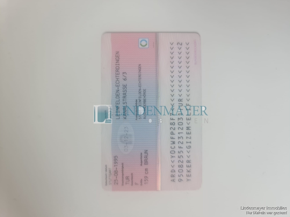 PHOTO-2021-11-02-12-45-44