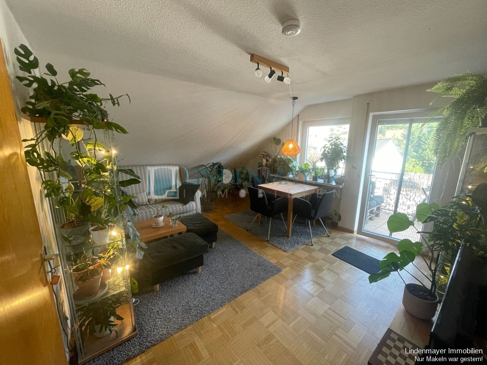 PHOTO-2026-07-03-10-19-53-CD97770F-04BF-4B68-B14D-E272040892FA