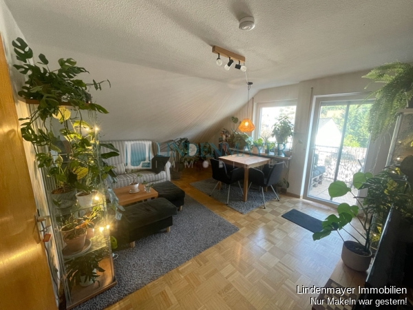 PHOTO-2026-07-03-10-19-53-CD97770F-04BF-4B68-B14D-E272040892FA