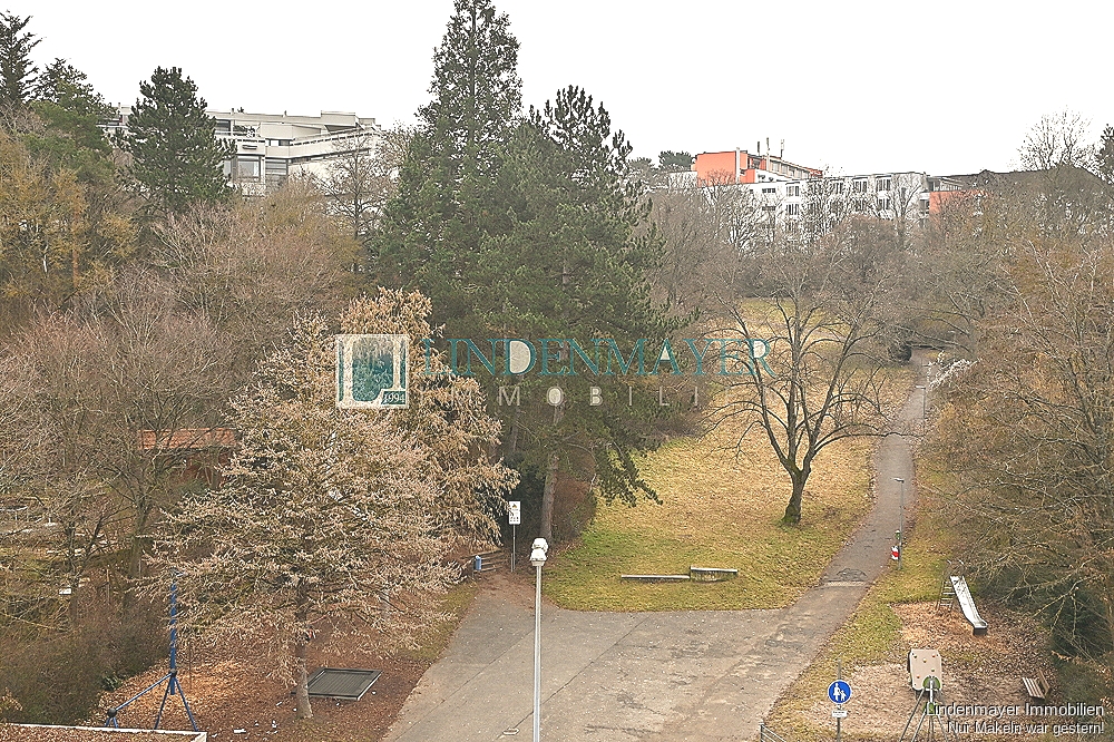 unverbaubare Aussicht zum Park