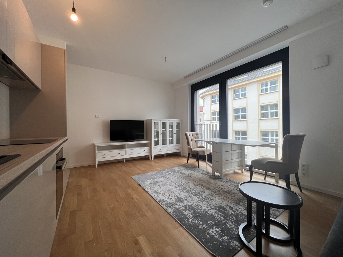 BESICHTIGUNGEN am 17.5.26 um 15 UHR: Mitte: NEUBAU 2-Zi, 48m², W-Bad, bodentiefe Fenster, PER SOFORT - Foto 3