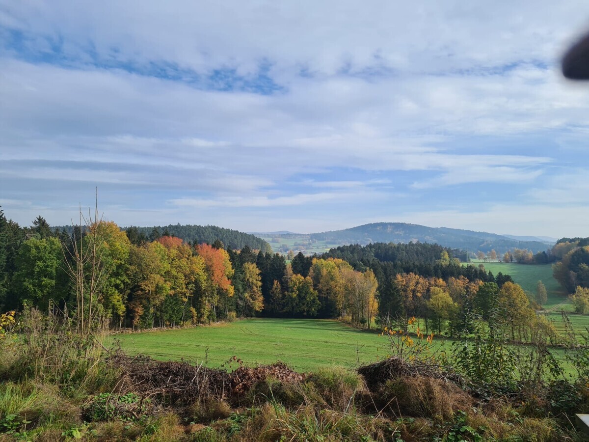 Impression umliegende Landschaft