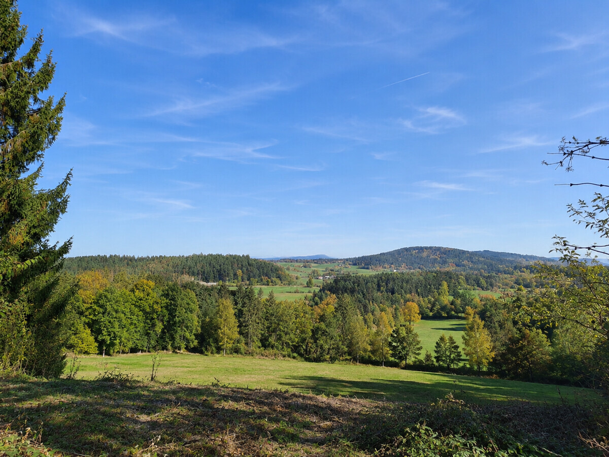 Weitläufige Wiesen u. Wälder