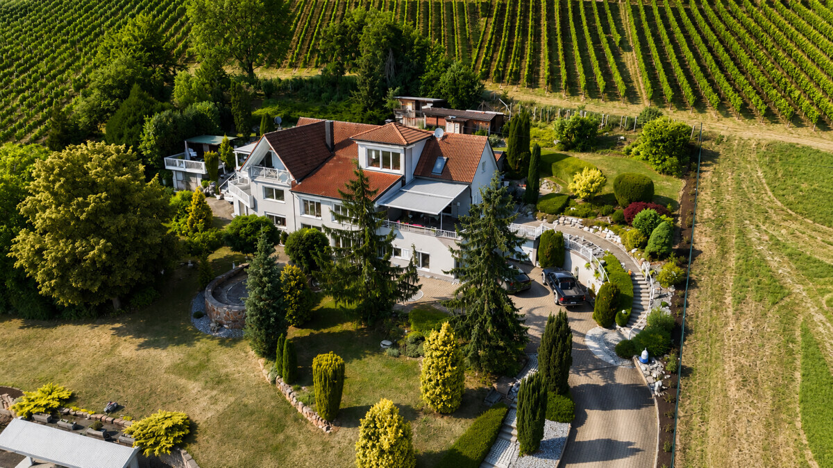 Villa eingebettet in Weinbergkulisse
