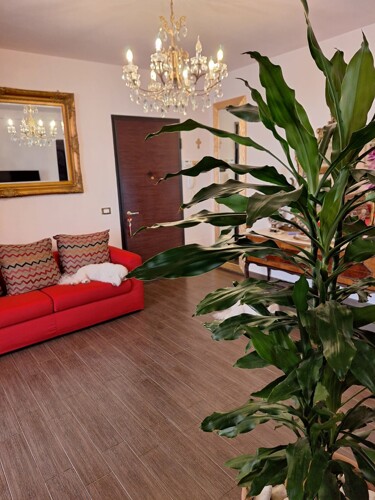 WhatsApp Image 2025-05-23 at 16.24.16 (4)