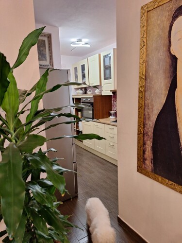 WhatsApp Image 2025-05-23 at 16.24.17