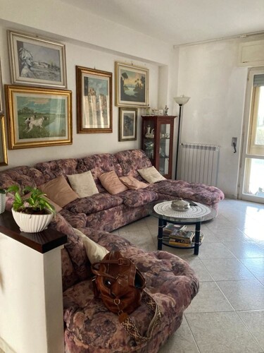 WhatsApp Image 2023-05-31 at 18.15.58