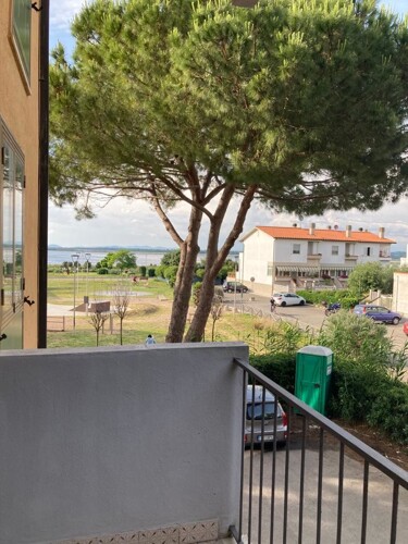 WhatsApp Image 2023-05-31 at 18.16.05