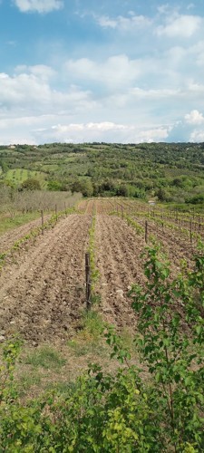 WhatsApp Image 2024-04-30 at 08.40.07