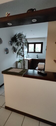 IMG_20241223_111237077