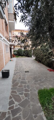 IMG_20241223_110926587