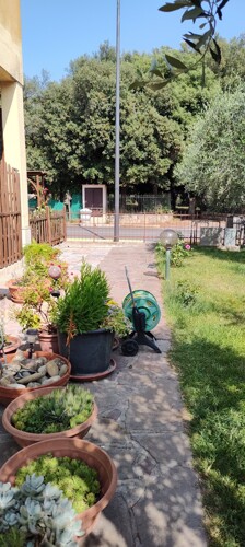 IMG_20250609_163252057