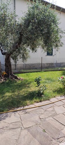 IMG_20250609_163308634