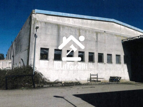 NEGOZIO O LOCALE COMMERCIALE LOCALITÀ TOSSILO S.N.C. - MACOMER — foto 2