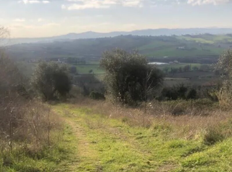Immagine di TERRENO, VIA SAN SAVINO GRANAROLA, GRADARA, PU