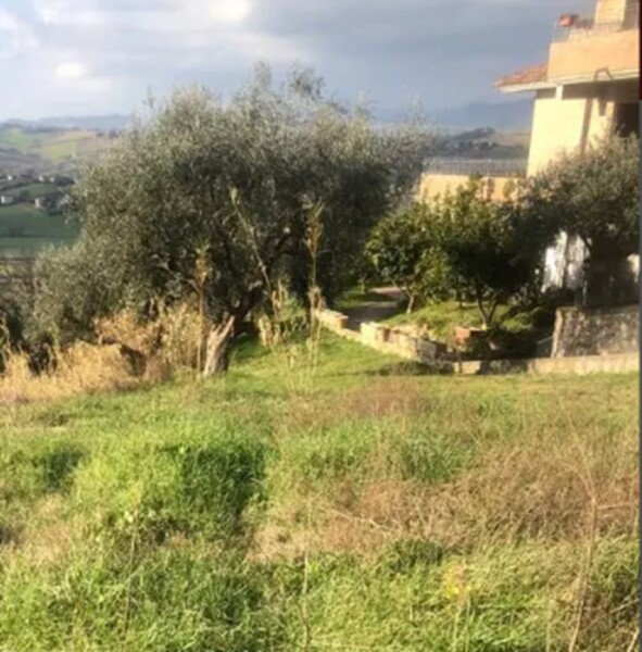 TERRENO, VIA SAN SAVINO GRANAROLA, GRADARA, PU — foto 7