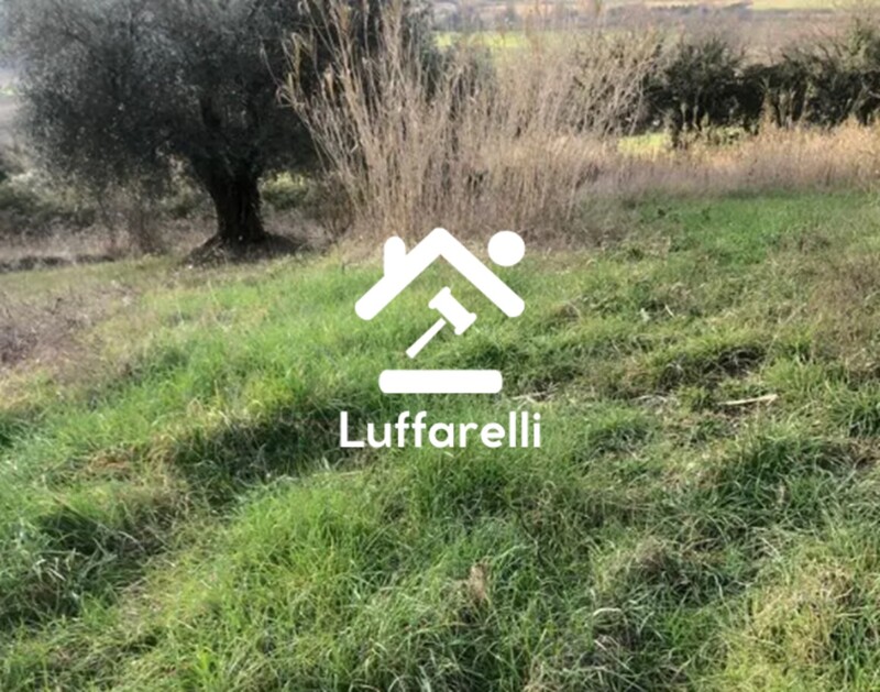 Immagine di TERRENO, VIA SAN SAVINO GRANAROLA, GRADARA, PU