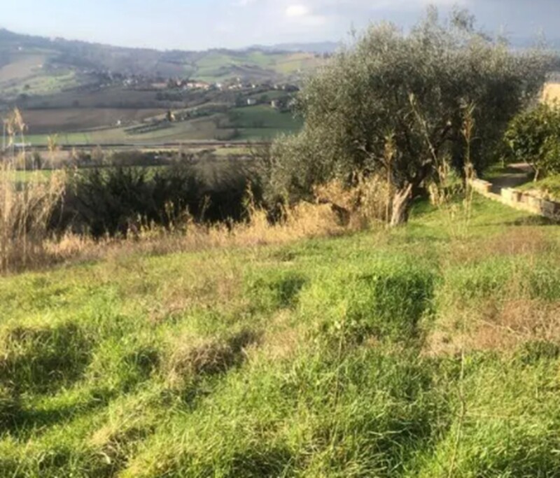 Immagine di TERRENO, VIA SAN SAVINO GRANAROLA, GRADARA, PU