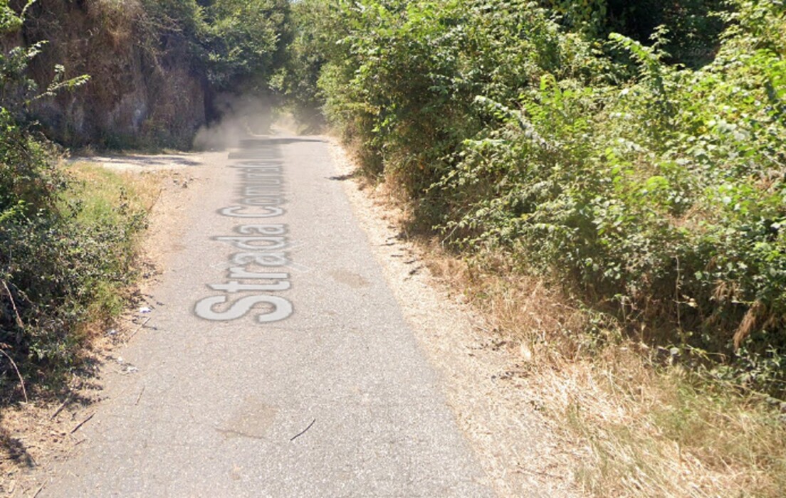 Immagine di TERRENO LOCALITA’ MARTOGNANO DI SOTTO – ANGUILLARA SABAZIA (RM)