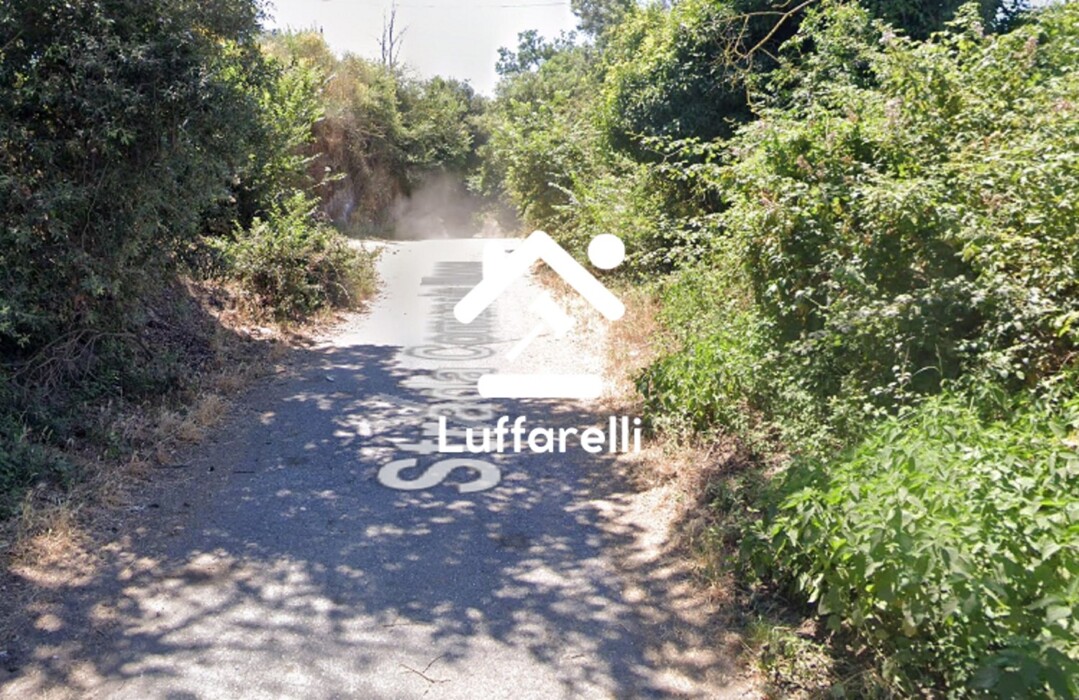 Immagine di TERRENO LOCALITA’ MARTOGNANO DI SOTTO – ANGUILLARA SABAZIA (RM)